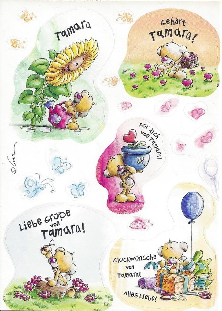 Pimboli - Stickervel Tamara – Generatie 4, Verzamelen, Diddl, Nieuw, Overige typen, Pimboli, Ophalen of Verzenden