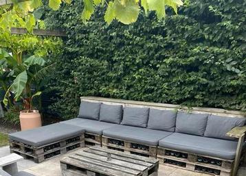 Palletkussens beschikbaar voor biedingen