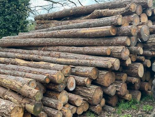 Brandhout op stam 50€ de Sterre ., Tuin en Terras, Brandhout, Ophalen