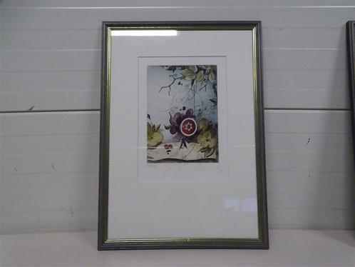 A5413 Kleurenets van Rüdiger Brassel, Antiek en Kunst, Kunst | Etsen en Gravures, Ophalen of Verzenden