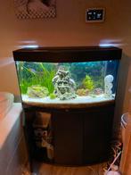 2 aquariums, 180l met kast 3 deuren en 90l, Dieren en Toebehoren, Ophalen, Zo goed als nieuw, Leeg aquarium