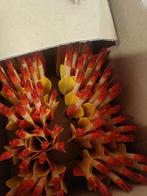 Houten pijlen 100st, Sport en Fitness, Handboogschieten, Ophalen of Verzenden, Nieuw, Pijlen