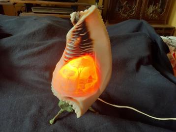 Ancienne Lampe coquillage, Enlèvement ou Envoi