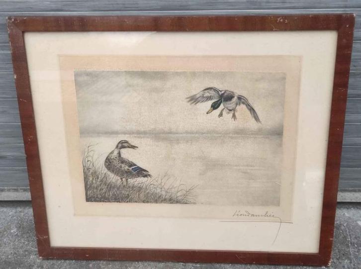 Gravure canard signe Léon danchin, Antiek en Kunst, Kunst | Etsen en Gravures, Ophalen of Verzenden