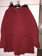 Bourgondische winterjas -nieuw-, Primark, Maat 46/48 (XL) of groter, Nieuw, Ophalen of Verzenden