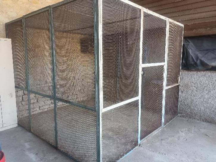 Volière rapace, Dieren en Toebehoren, Overige Dieren-accessoires, Gebruikt, Ophalen