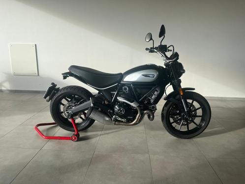 Ducati Scrambler 800 Dark, Motos, Motos | Ducati, Entreprise, Naked bike, plus de 35 kW, 2 cylindres, Enlèvement