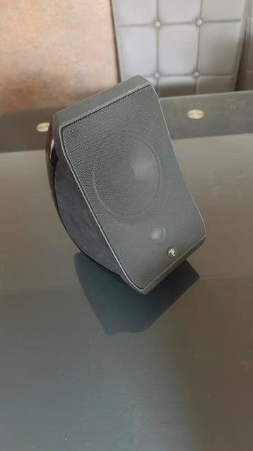 Focal Sib, Enlèvement, Utilisé
