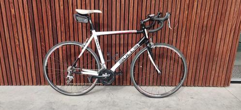 Koersfiets / Racefiets Bulls Harrier 1, maat L, Fietsen en Brommers, Fietsen | Heren | Sportfietsen en Toerfietsen, Gebruikt, Overige merken
