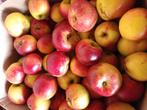 Zoete appels, bewaarappels, bioappels, Diversen, Levensmiddelen, Ophalen