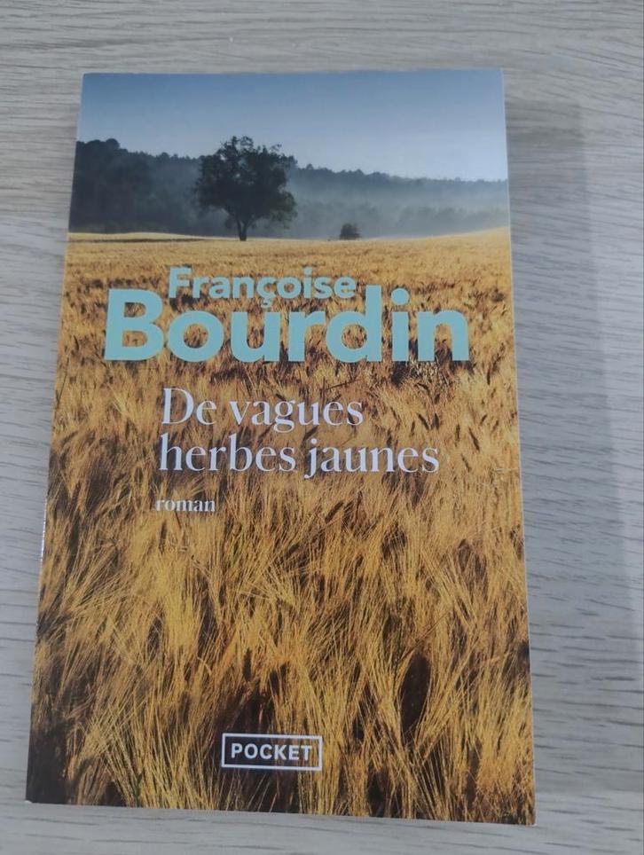 De vagues herbes jaunes - Françoise Bourdin, Boeken, Romans, Zo goed als nieuw, Ophalen of Verzenden
