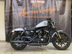 Harley-Davidson SPORTSTER Iron XL883 (bj 2020), Motoren, Bedrijf, 2 cilinders, 883 cc, Chopper