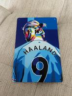 Metalen bord Erling Haaland, Manchester City, nieuw, Verzamelen, Sportartikelen en Voetbal, Ophalen of Verzenden, Nieuw, Overige typen