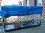 Aquarium 30€, Dieren en Toebehoren, Ophalen, Zo goed als nieuw