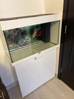 Aquarium juwel, Enlèvement, Utilisé, Aquarium vide
