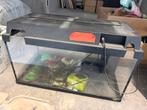Aquarium, Dieren en Toebehoren, Ophalen of Verzenden, Zo goed als nieuw