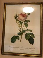 2 kaders met rozen, Huis en Inrichting, Ophalen