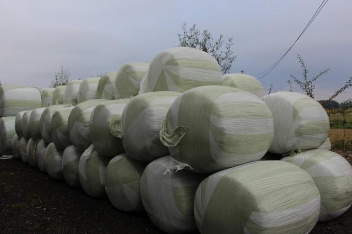 Maisbalen en mengbalen, Dieren en Toebehoren, Schapen, Geiten en Varkens