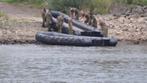 DSB 750 Hypalon soft inflatable 7,5 x 2,5 mtr, Watersport en Boten, Aluminium, Gebruikt, Ophalen of Verzenden, Zodiac