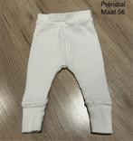 Wit broekje (Prénatal, maat 56), Kinderen en Baby's, Babykleding | Maat 56, Ophalen of Verzenden, Zo goed als nieuw, Broekje