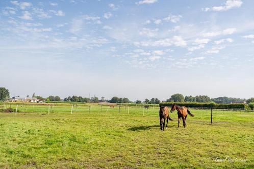 weide verzorgen, Dieren en Toebehoren, Paarden