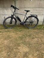 Trek Verve +2, Fietsen en Brommers, Elektrische fietsen, Zo goed als nieuw, 50 km per accu of meer, 55 tot 59 cm, Ophalen
