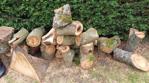 Brandhout: eik te koop €65, Doe-het-zelf en Bouw, Hout en Planken, Nieuw, Overige typen, Eiken, Ophalen