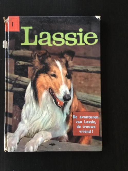 Lassie 1, Livres, Livres pour enfants | Jeunesse | 13 ans et plus, Enlèvement ou Envoi