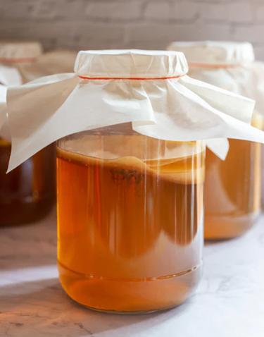 Scoby + startvloeistof voor kombucha, Diversen, Levensmiddelen, Ophalen