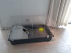 Nieuwe ruime kooi van het merk Ferplast, Animaux & Accessoires, Enlèvement, Neuf, Cage, Cobaye