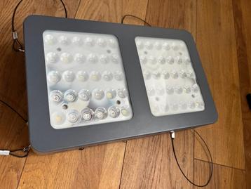 LED-licht voor planten