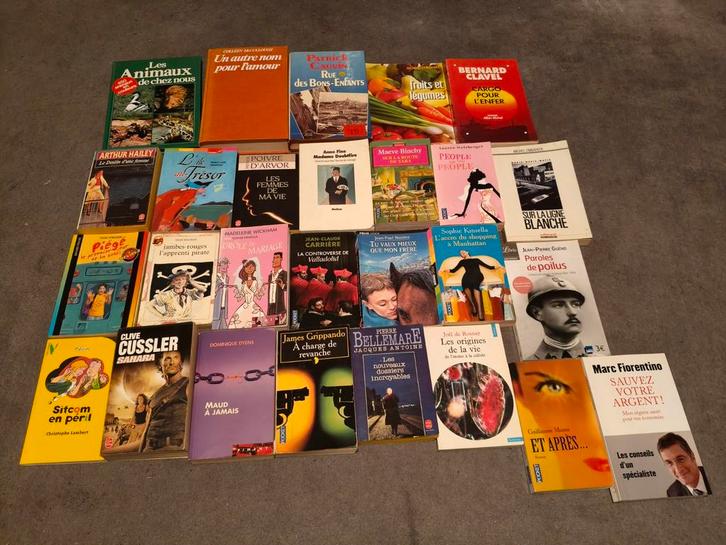 Lot de 27 livres, Boeken, Overige Boeken, Ophalen