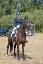 Lesgeefster en ruiter aangeboden + cadeaubon beschikbaar, Dieren en Toebehoren, Niet van toepassing