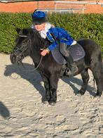 Super lieve kinderpony ️ Grote Shetlander, Dieren en Toebehoren, Pony's, Merrie, Gechipt, Zadelmak, A pony (tot 1.17m)