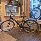 Golden lion wave 24 pouces, 24 pouces, Comme neuf, Enlèvement, Vitesses