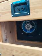 Tube versterker en 12 inch speaker, Muziek en Instrumenten, Versterkers | Bas en Gitaar, Ophalen, Zo goed als nieuw