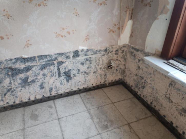 Opstijgend vocht vochtigheid bestrijden, Bricolage & Construction, Isolation & Étanchéité, Enlèvement