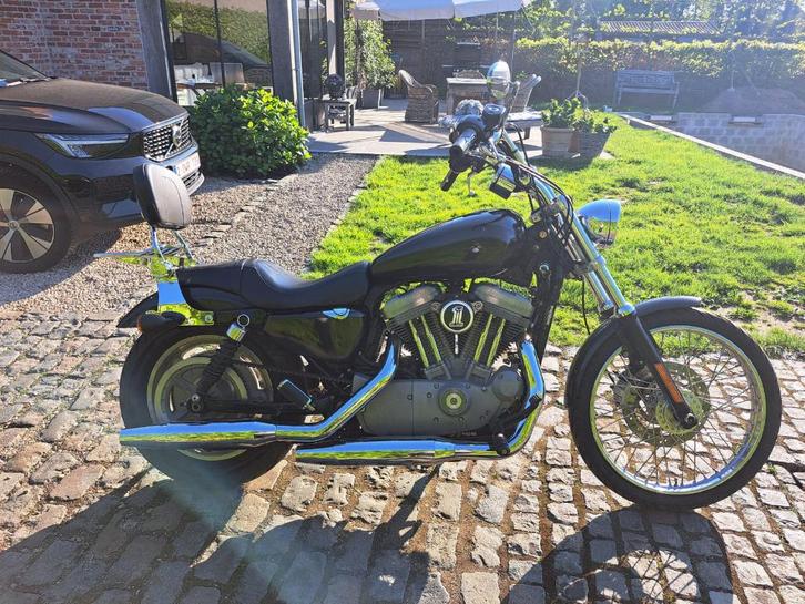 Harley Davidson XLSportsterC 883, Motoren, Motoren | Harley-Davidson, Particulier, Chopper, meer dan 35 kW, 2 cilinders, Ophalen