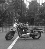 Harley davidson, Motoren, 1600 cc, Chopper, Particulier