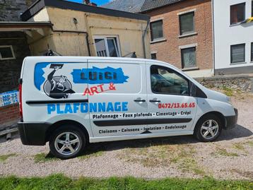 CHERCHE PLAFONNEUR PROFESSIONNEL  disponible aux enchères