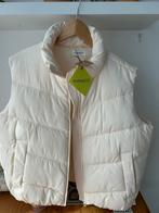 Even en Odd bomber, Kleding | Dames, Bodywarmers, Ophalen of Verzenden, Nieuw