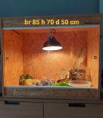 Terrarium, Dieren en Toebehoren, Ophalen, Zo goed als nieuw, Terrarium of Paludarium