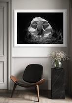 Rudy Barret - Guardian of the hollow, Ophalen of Verzenden