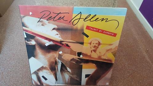 PETER ALLEN - TAUGHT BY EXPERTS (1976) (LP), Cd's en Dvd's, Vinyl | Pop, Zo goed als nieuw, 1960 tot 1980, 10 inch, Verzenden