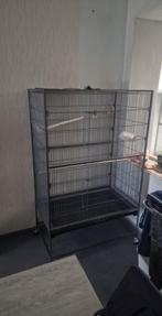 Cage oiseaux, Ophalen, Nieuw