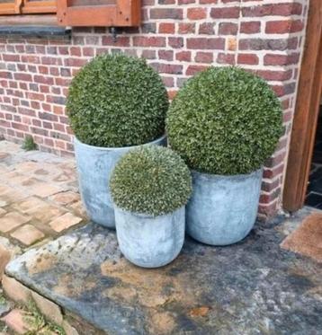 Jardines/bacs à fleurs en fibre d'argile (art.:044/24.2), Intérieur, Enlèvement ou Envoi, Rond, Comme neuf