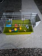 Kooi, Dieren en Toebehoren, Knaagdieren en Konijnen | Hokken en Kooien, Ophalen