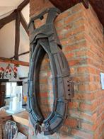 Licol pour chevaux, Enlèvement