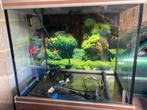 aquarium, Ophalen, Gebruikt, Leeg aquarium