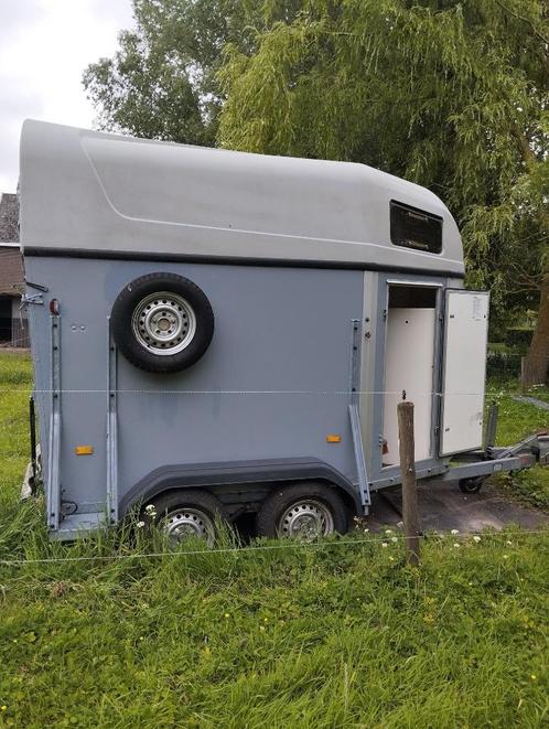 goed onderhouden paardentrailer, Dieren en Toebehoren, Paarden en Pony's | Trailers en Aanhangwagens, Gebruikt, 2-paards trailer